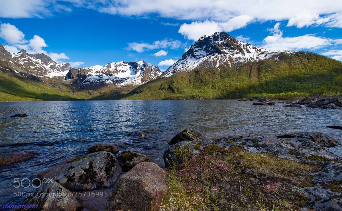 Nikon D610 sample photo. Late spring photography