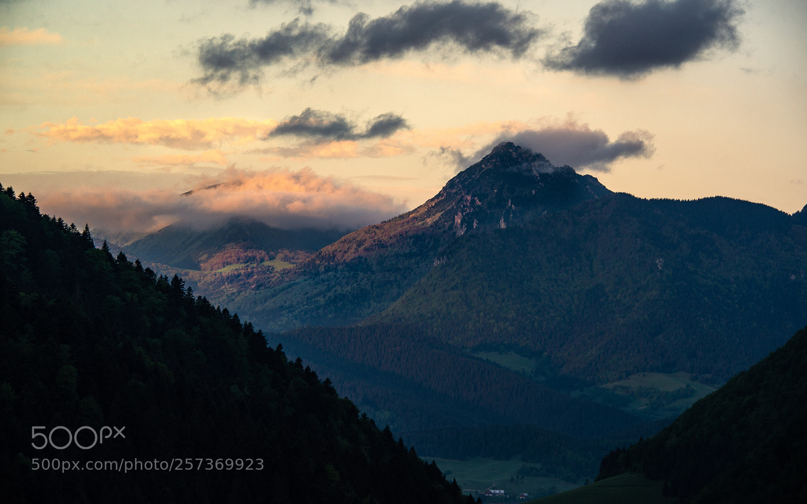 Nikon D610 sample photo. Morning sunrise photography