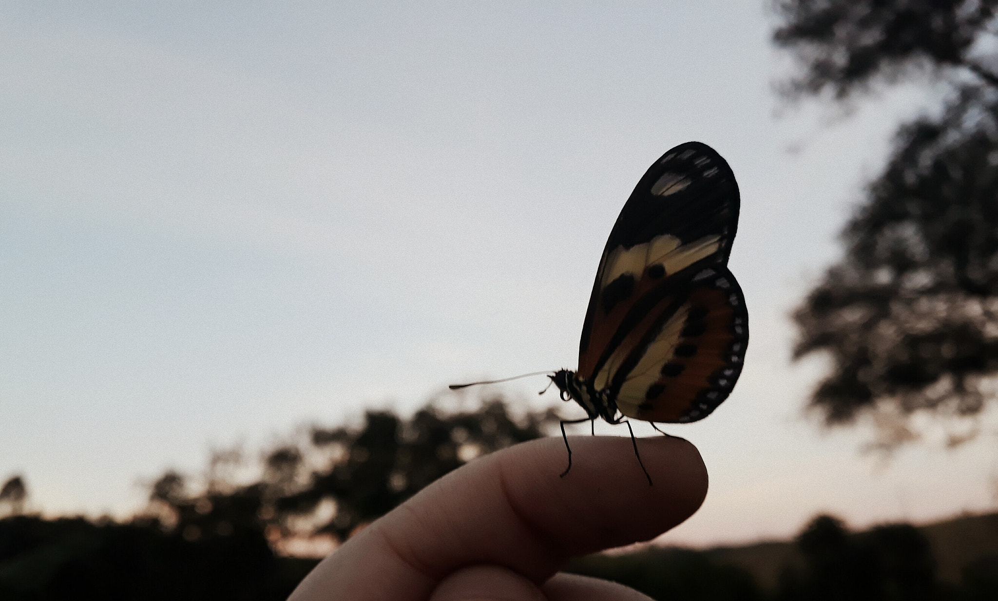 Samsung Galaxy J7 Prime sample photo