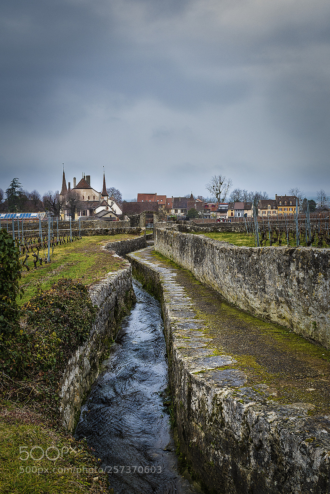 Nikon D500 sample photo. Le chateau d'auvernier photography