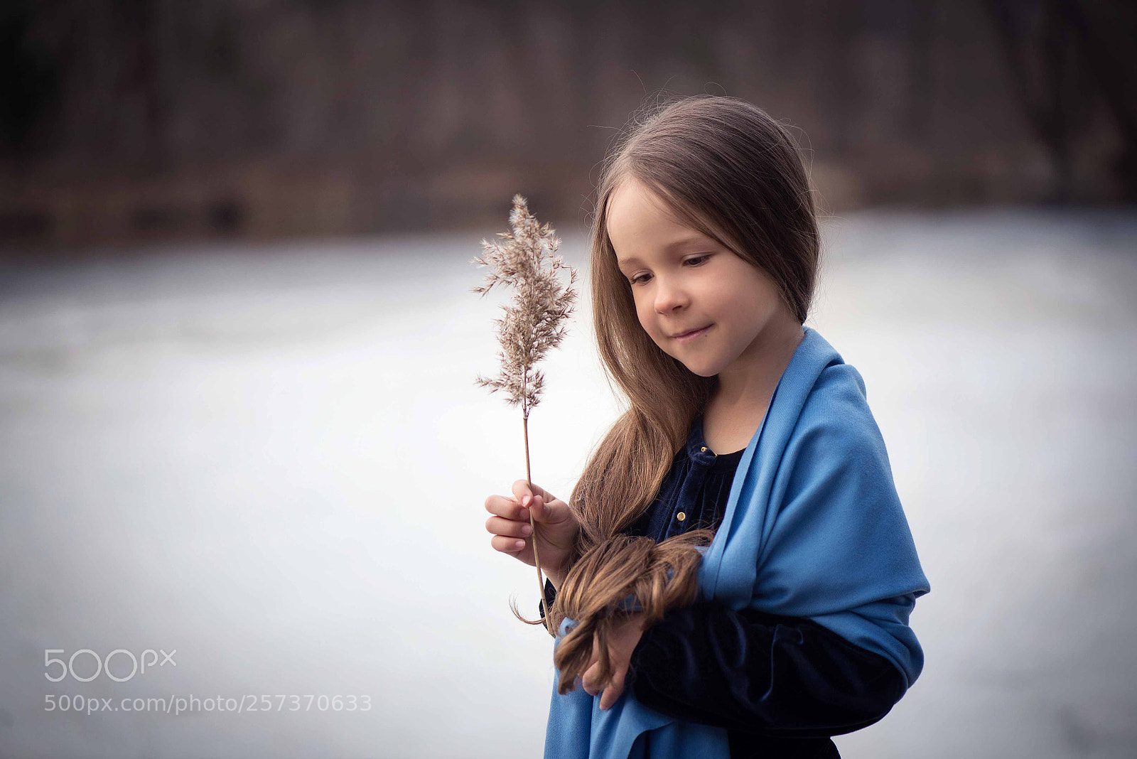 Nikon D610 sample photo. Untitled photography