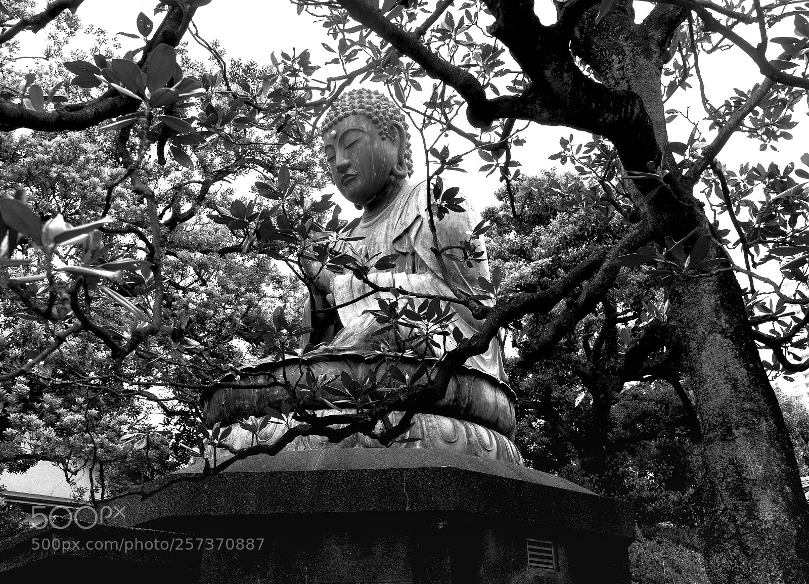 Sony a7 sample photo. Peace in the cemetary photography