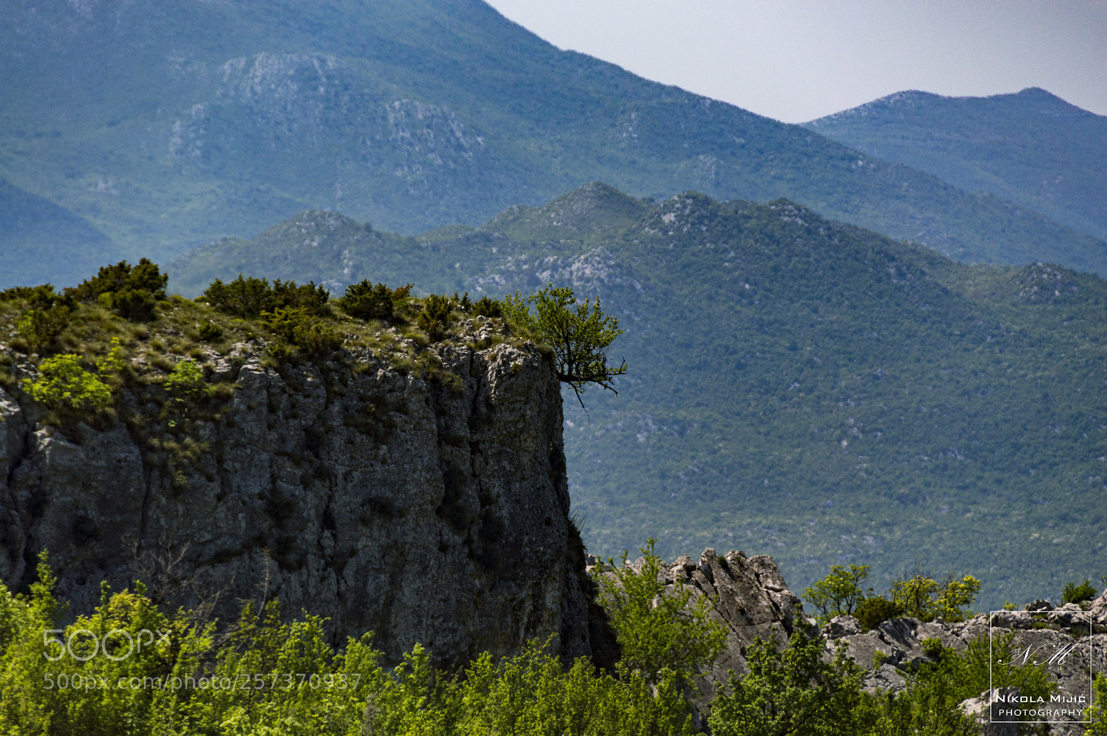 Nikon D3200 sample photo. Rule of nature photography