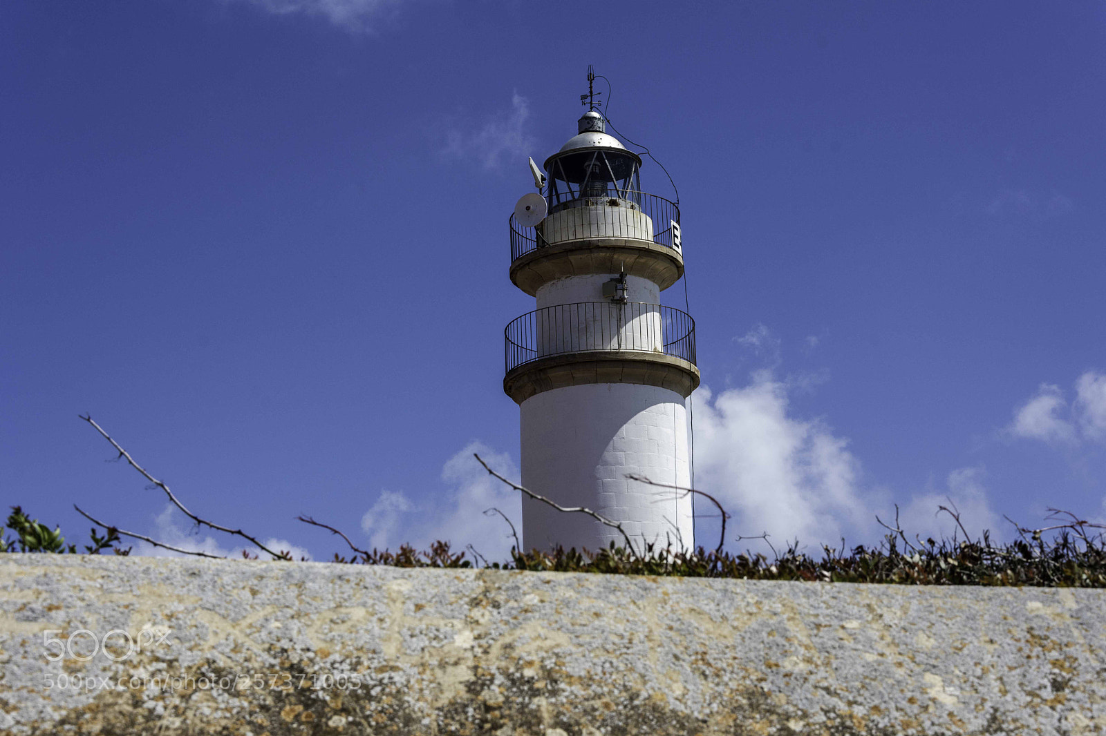 Nikon D7200 sample photo. Vigilante photography