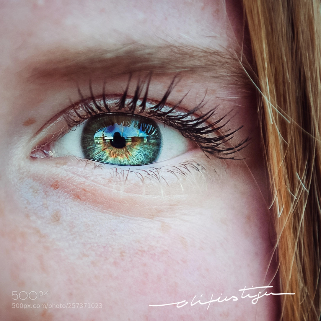 Nikon D3 sample photo. Eyes photography