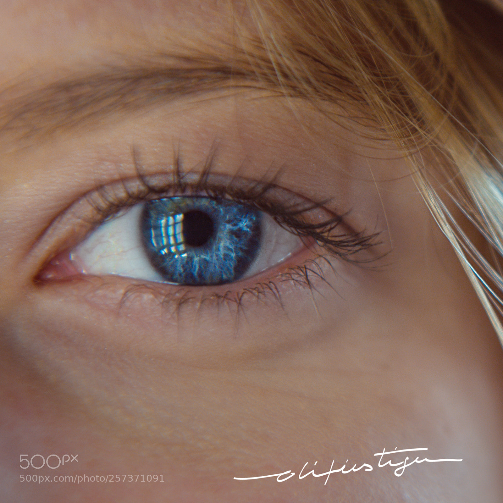 Nikon D4 sample photo. Eyes photography