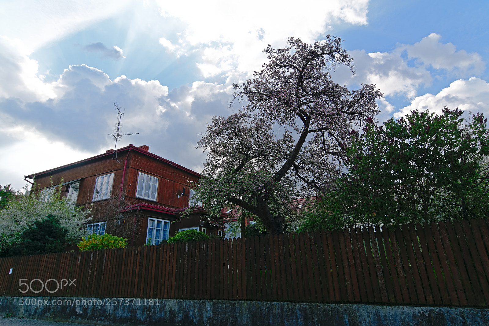 Nikon D7100 sample photo. Bojary photography