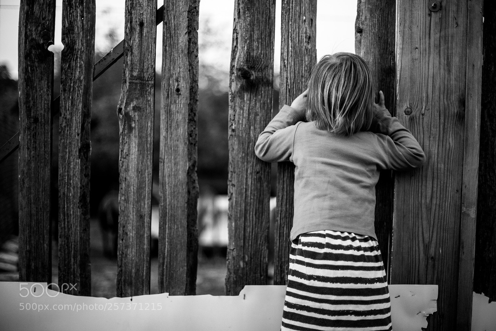 Canon EOS 6D Mark II sample photo. (behind) the wall photography