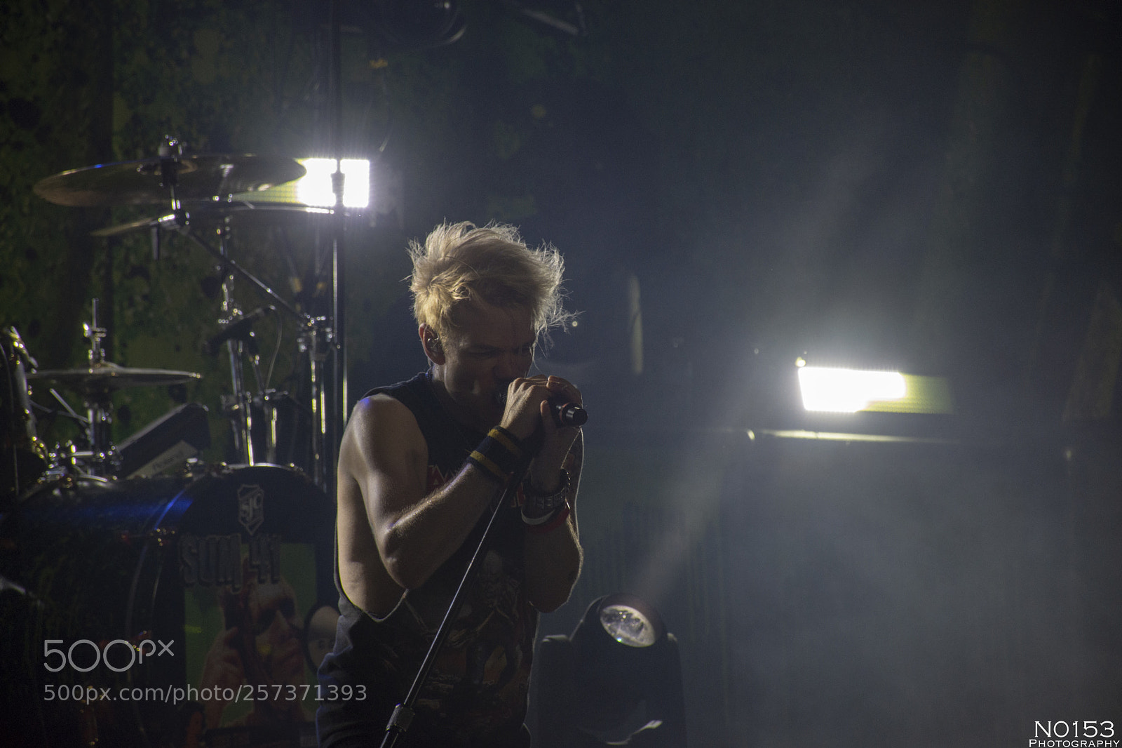 Nikon D7200 sample photo. Sum 41 photography