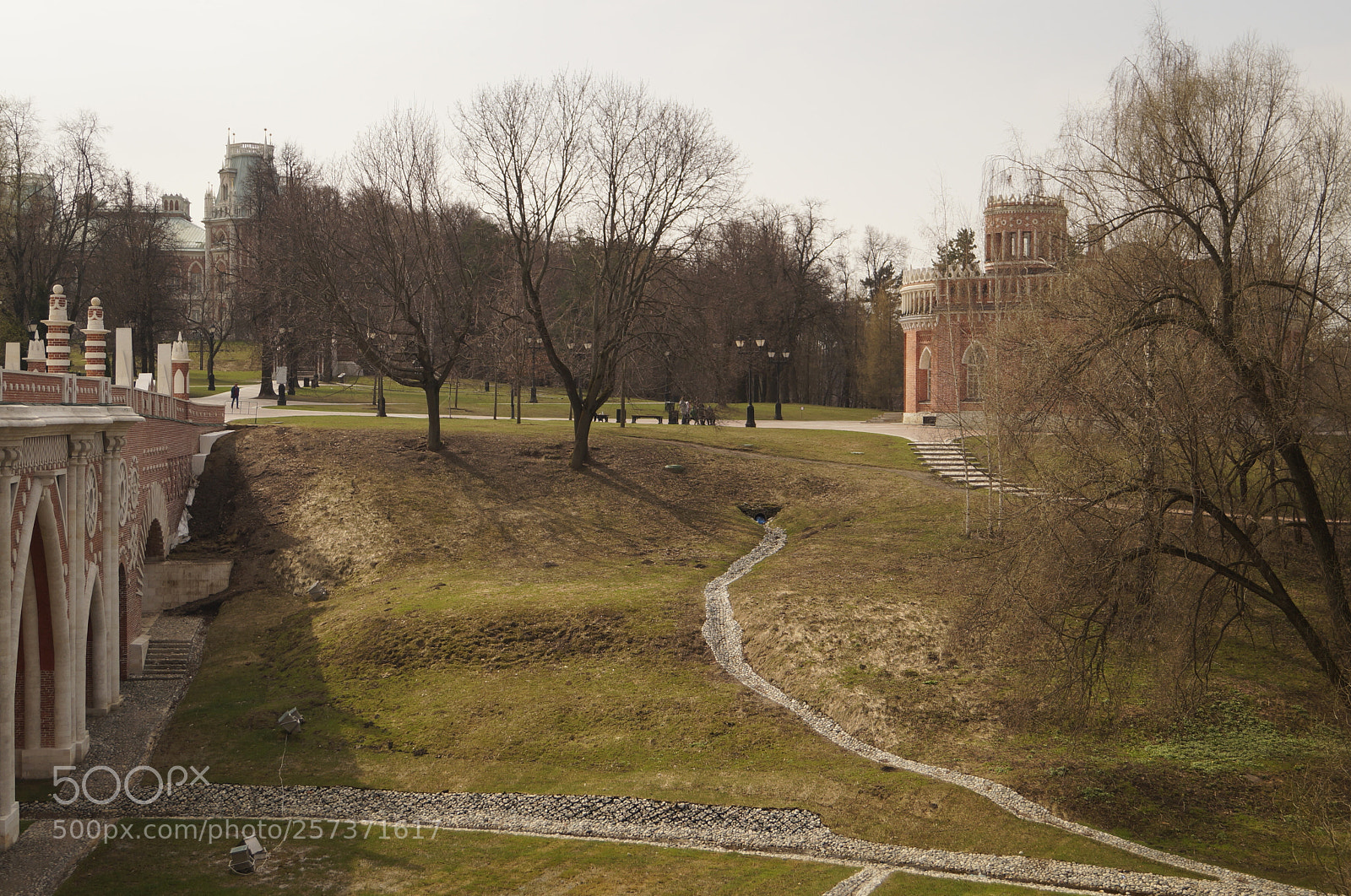Sony SLT-A57 sample photo. Untitled photography