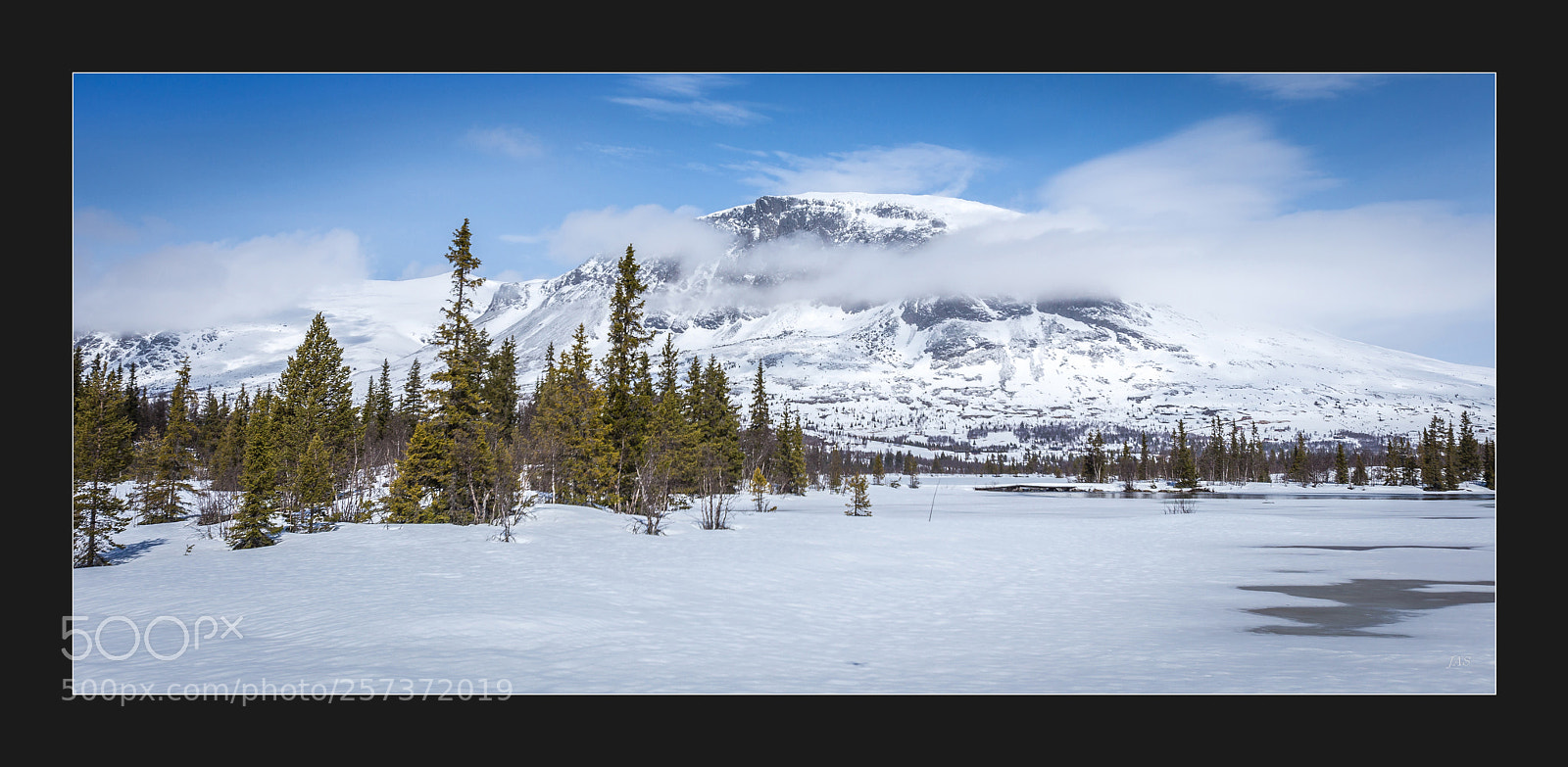 Canon EOS 6D sample photo. The last snow photography