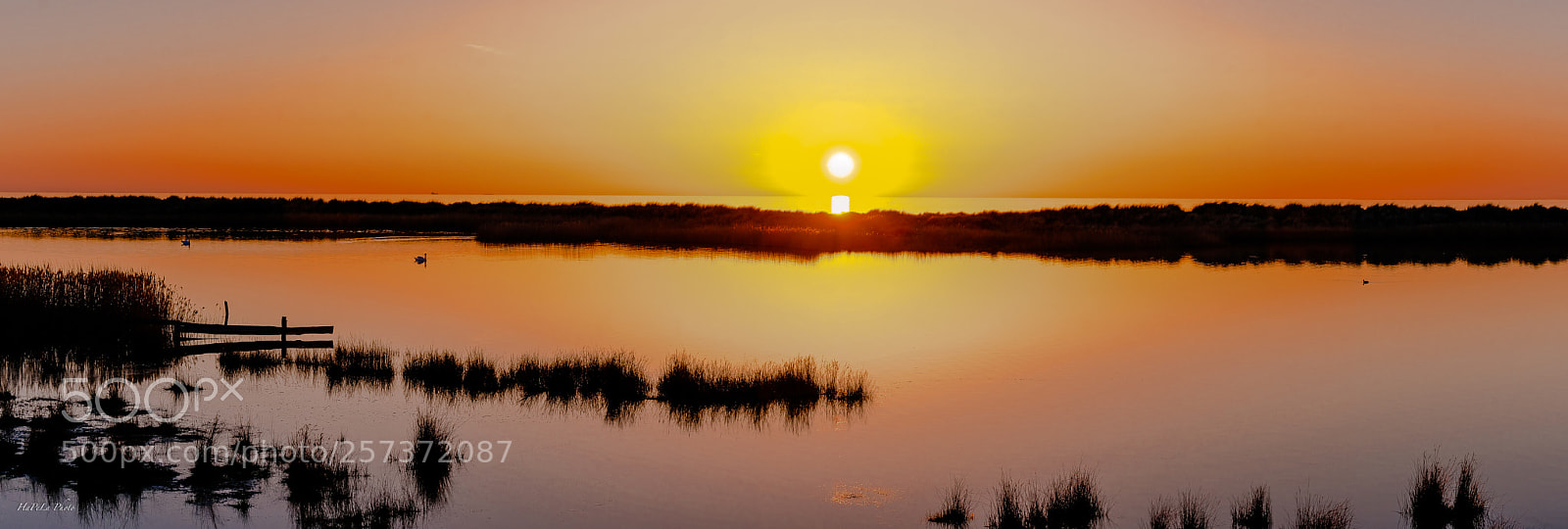 Fujifilm X-T2 sample photo. The colours of sun photography