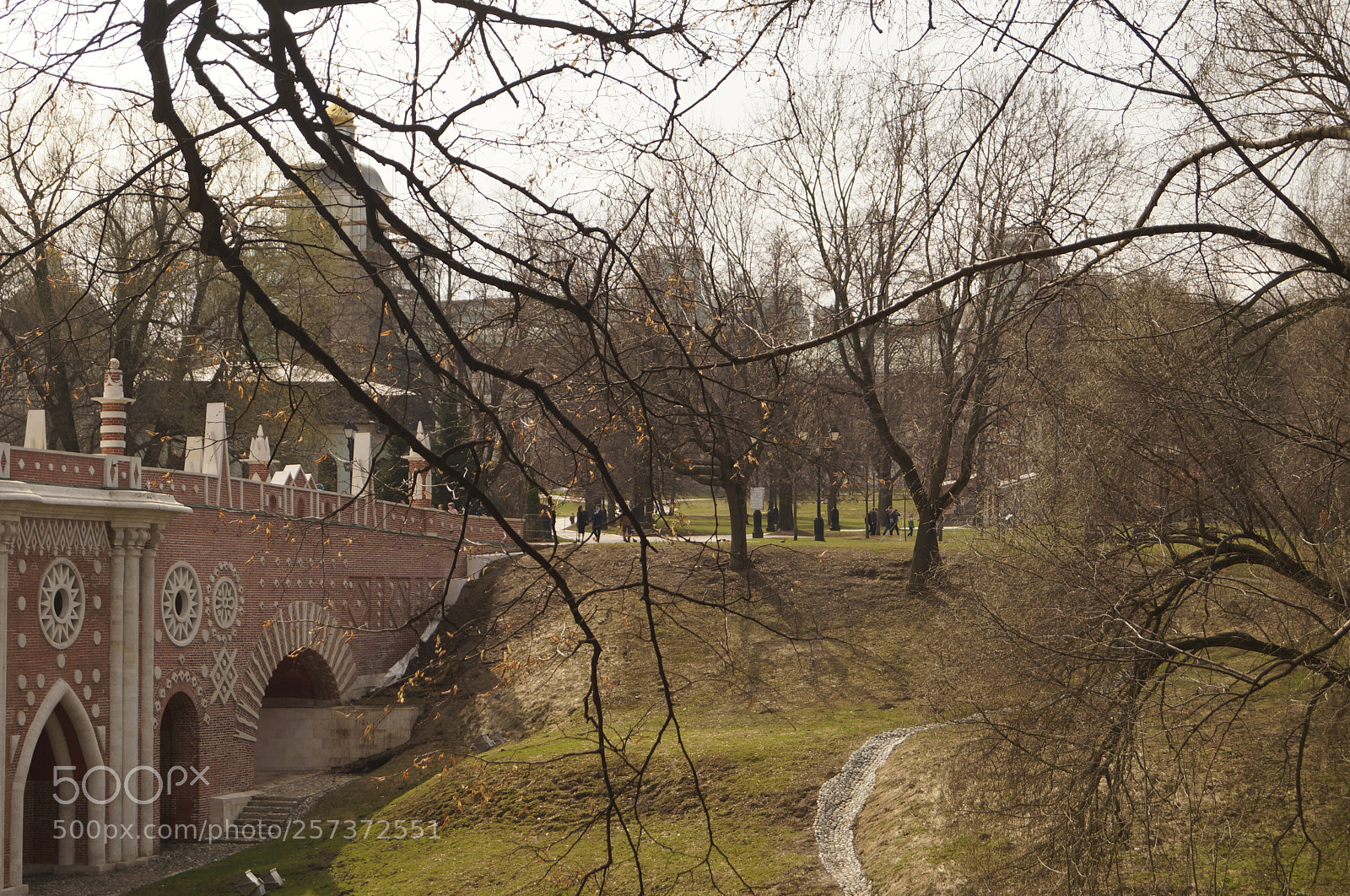 Sony SLT-A57 sample photo. Untitled photography