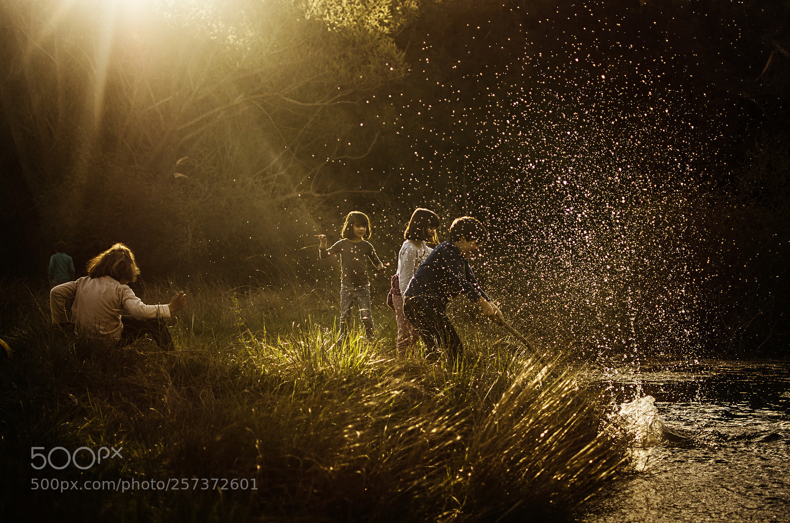 Nikon D7000 sample photo. Wildandhappy.jpg photography