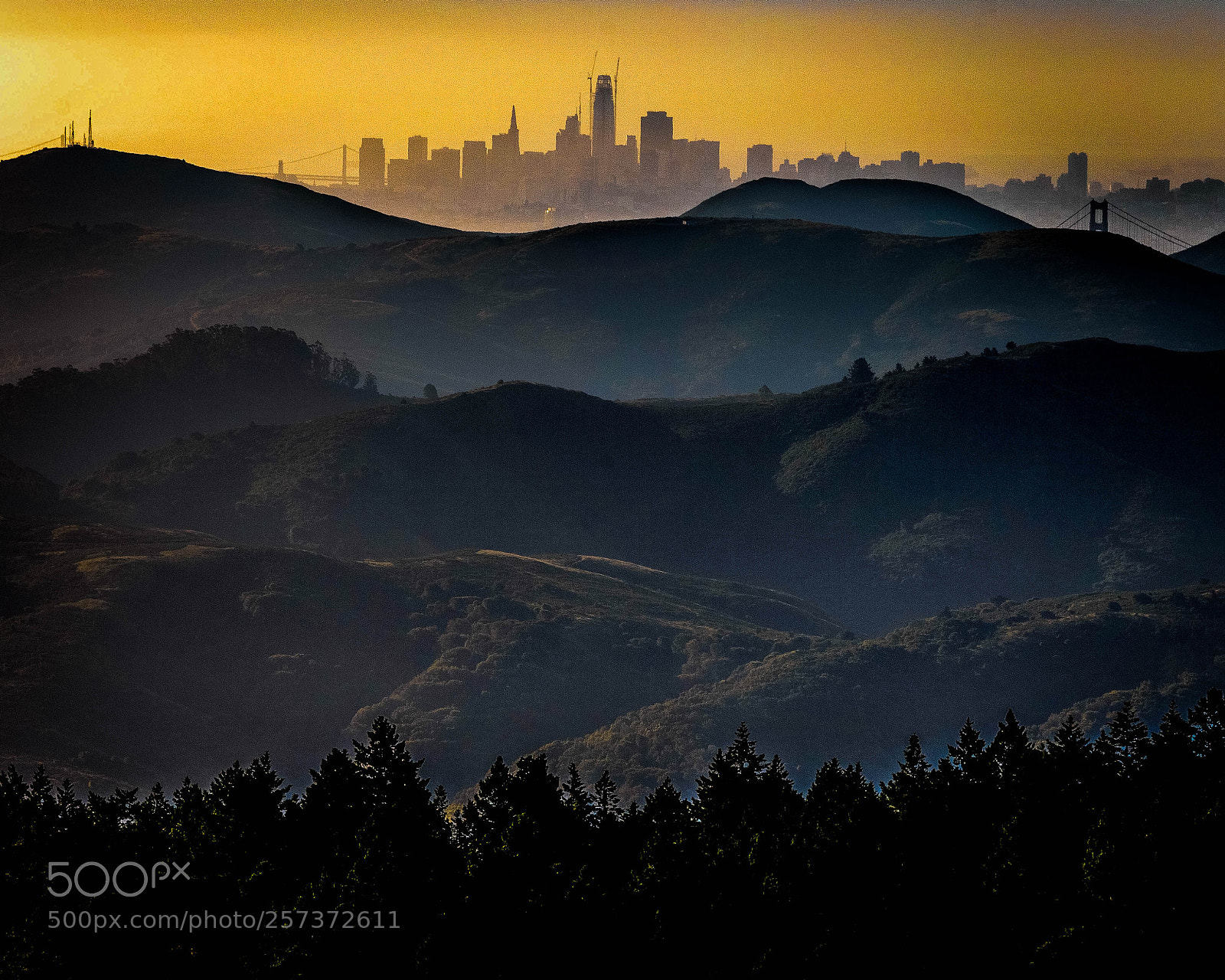Canon EOS 6D sample photo. "nature meets city" photography