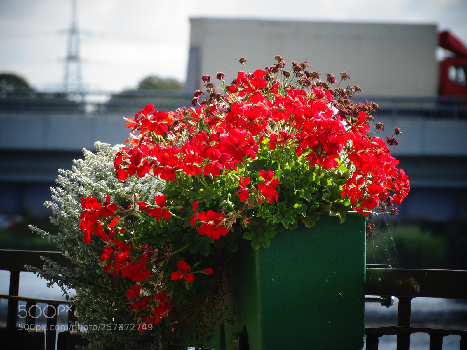 Sony Cyber-shot DSC-HX300 sample photo. Dsc photography