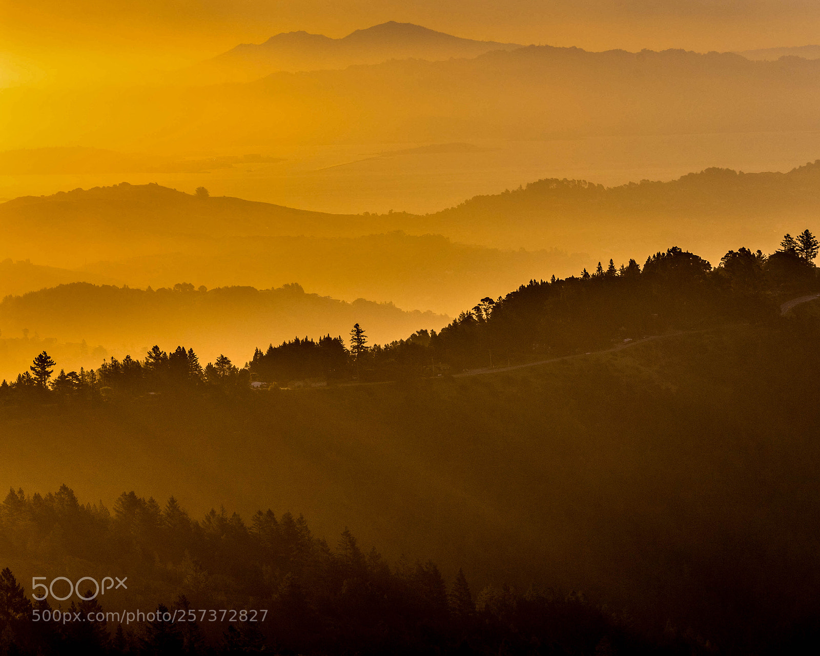 Canon EOS 6D sample photo. "mill valley layers" photography