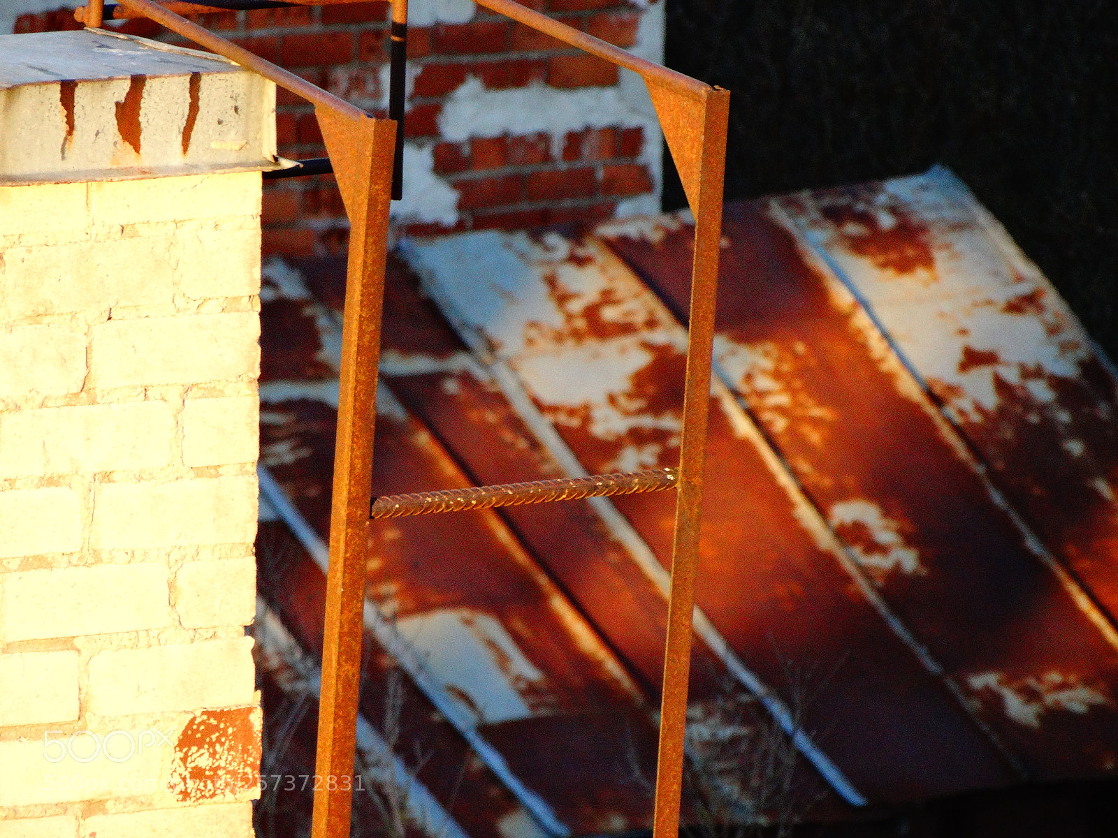 Sony Cyber-shot DSC-HX300 sample photo. Dsc photography