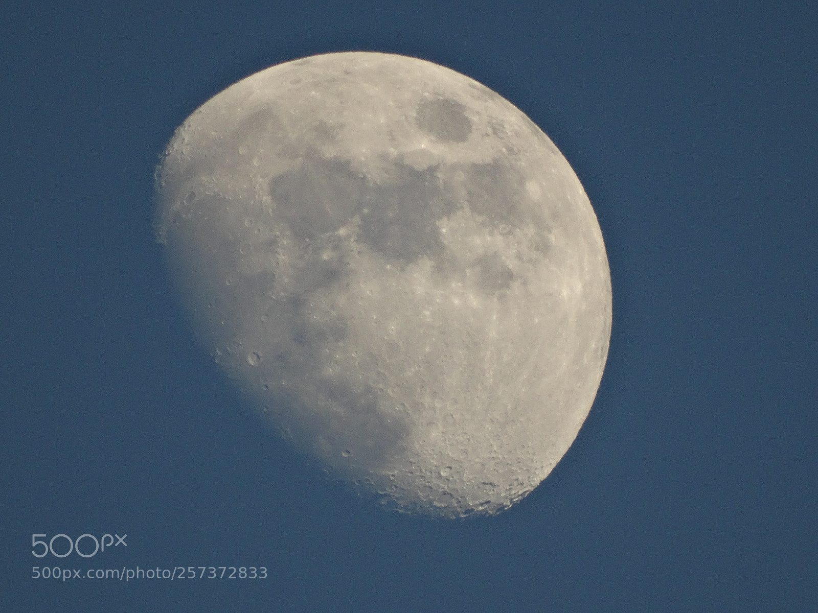 Sony Cyber-shot DSC-HX300 sample photo. Dsc photography