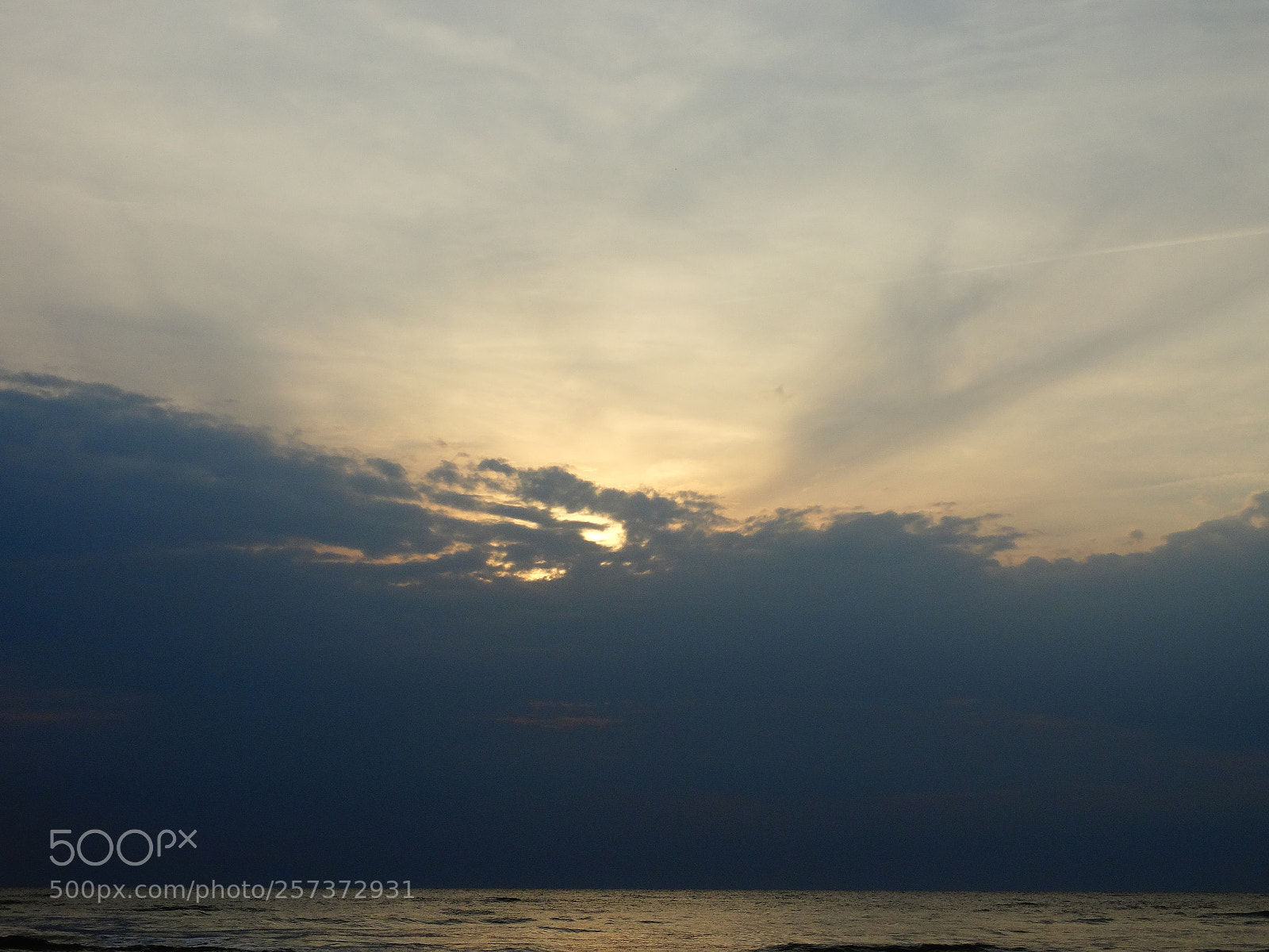 Sony Cyber-shot DSC-HX300 sample photo. Dsc photography