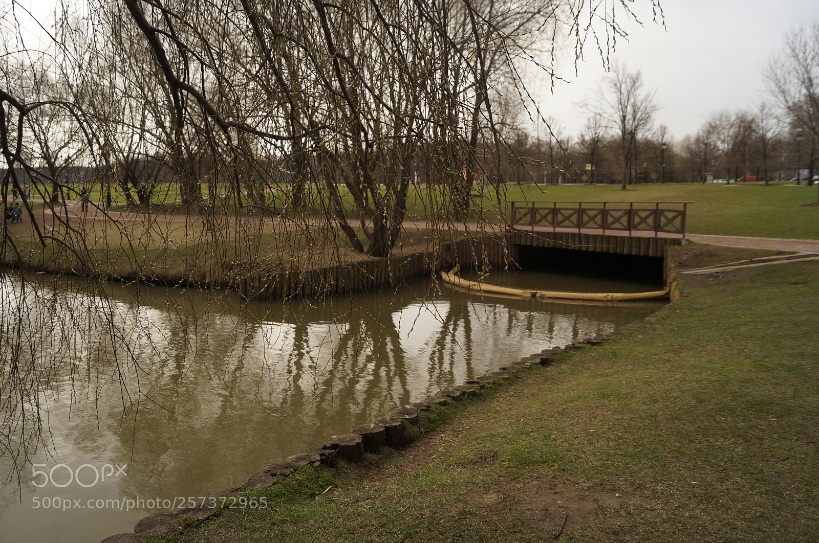 Sony SLT-A57 sample photo. Untitled photography