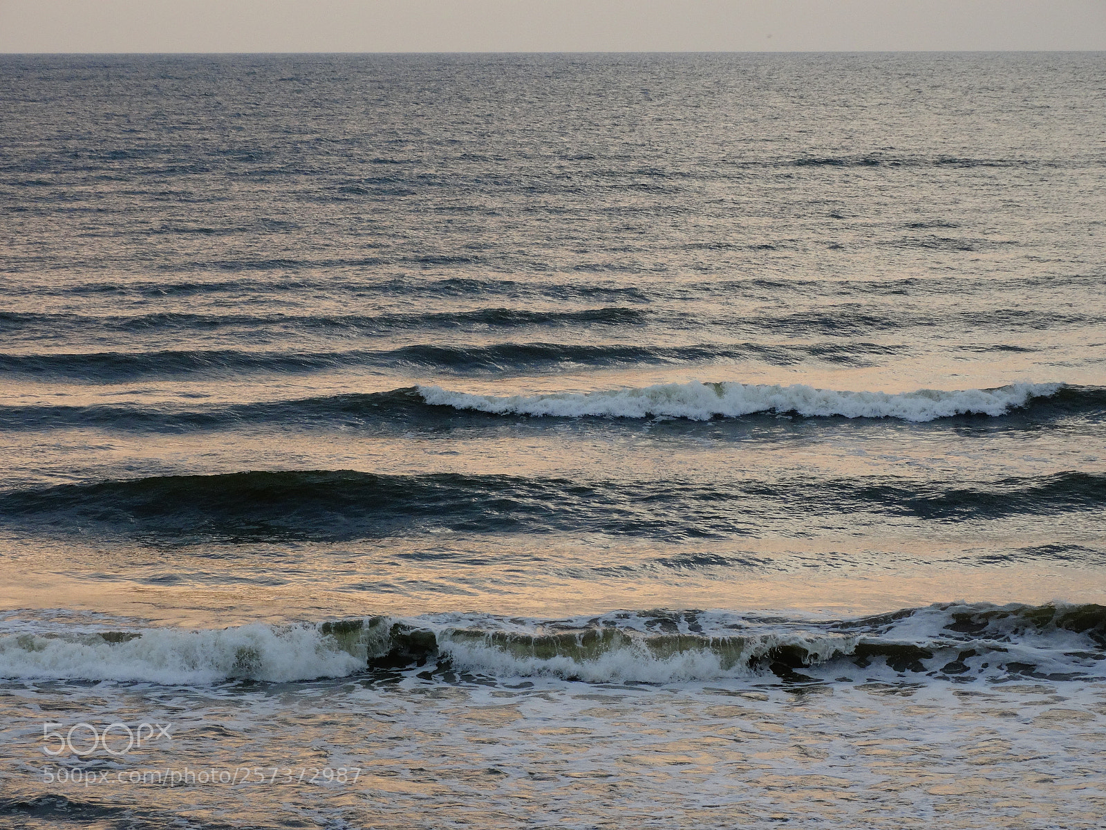 Sony Cyber-shot DSC-HX300 sample photo. Dsc photography