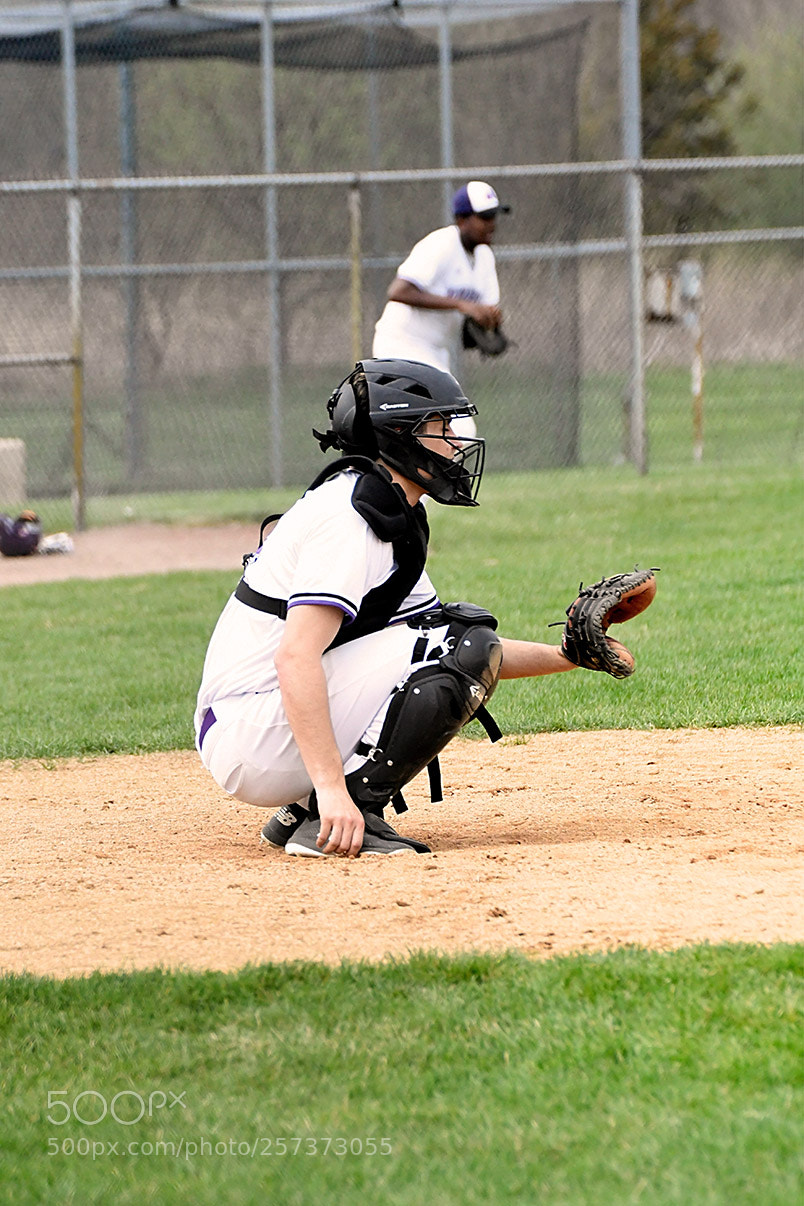 Nikon D500 sample photo. 5-2_0219.jpg photography