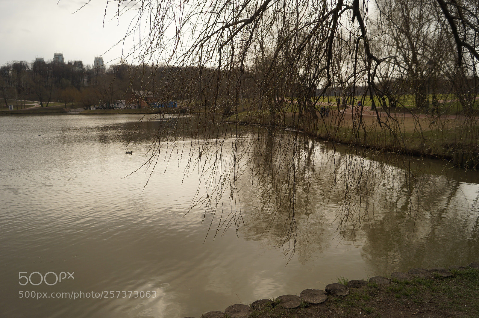 Sony SLT-A57 sample photo. Untitled photography