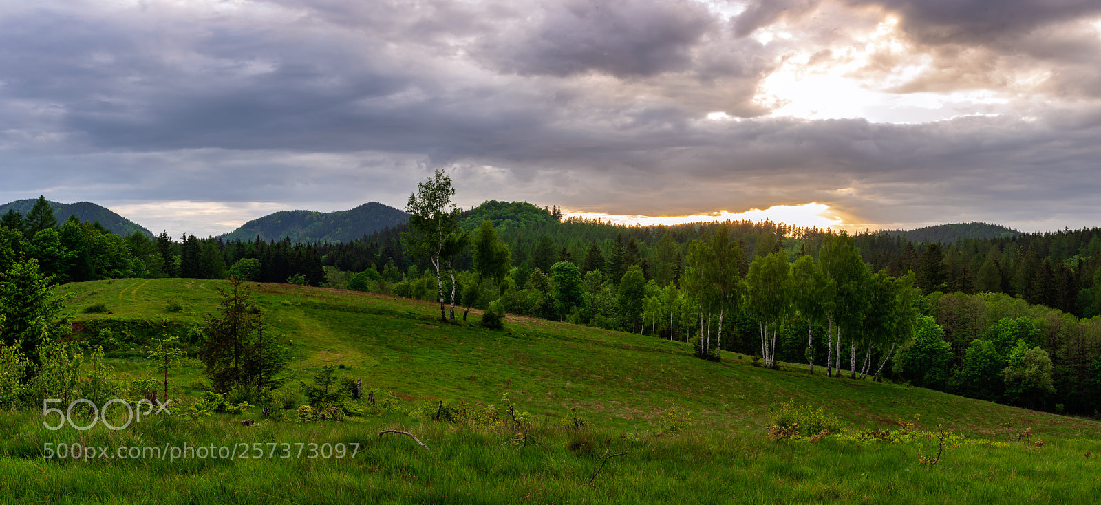 Nikon D7100 sample photo. Just before sunset photography