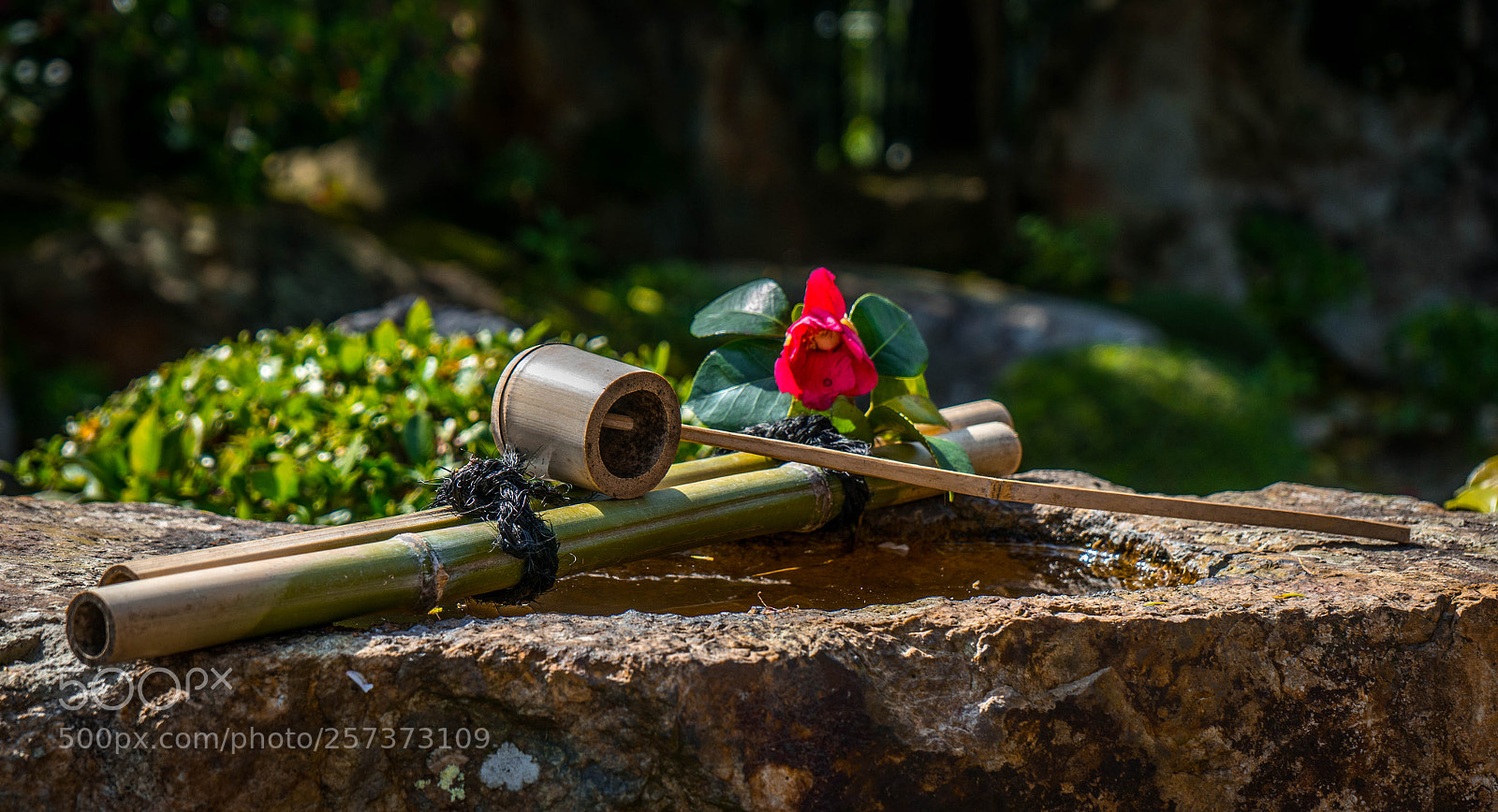 Sony a7 sample photo. Quintessential kyoto photography