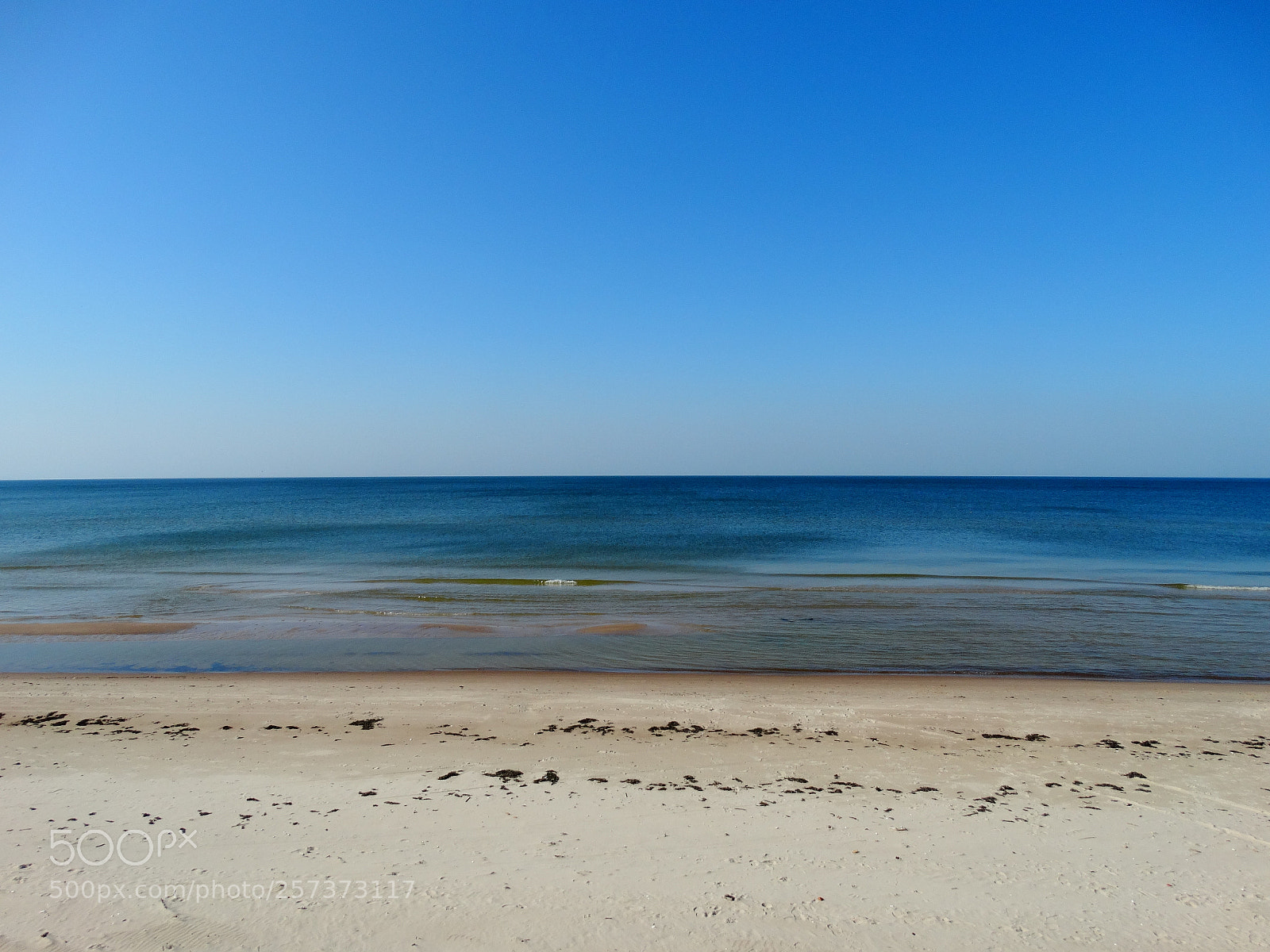 Sony Cyber-shot DSC-HX300 sample photo. Dsc photography