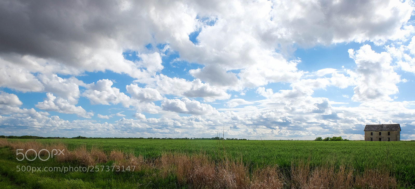 Fujifilm X-T10 sample photo. Bkf photography