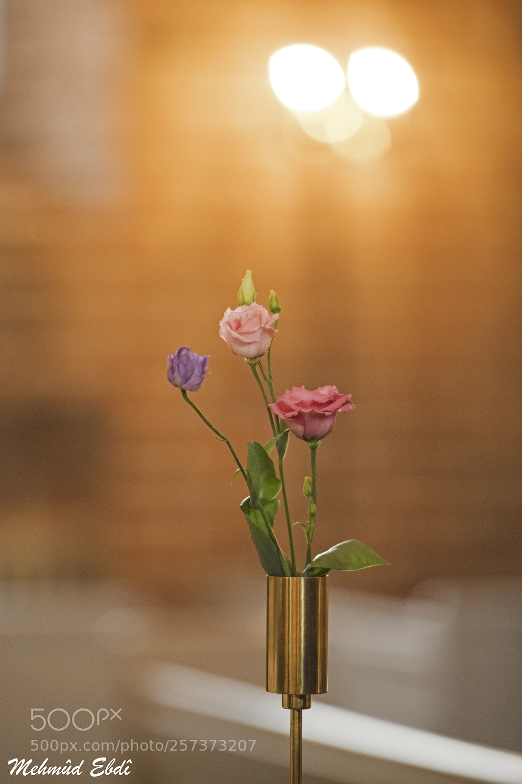 Nikon D850 sample photo. Confirmation photography
