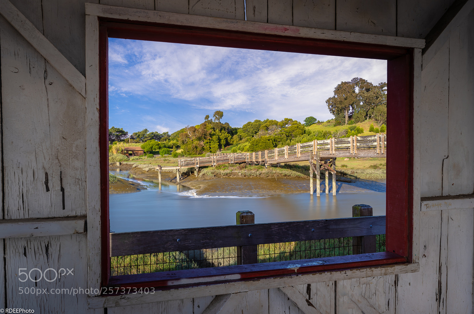Sony a7 III sample photo. Don edwards sf bay photography