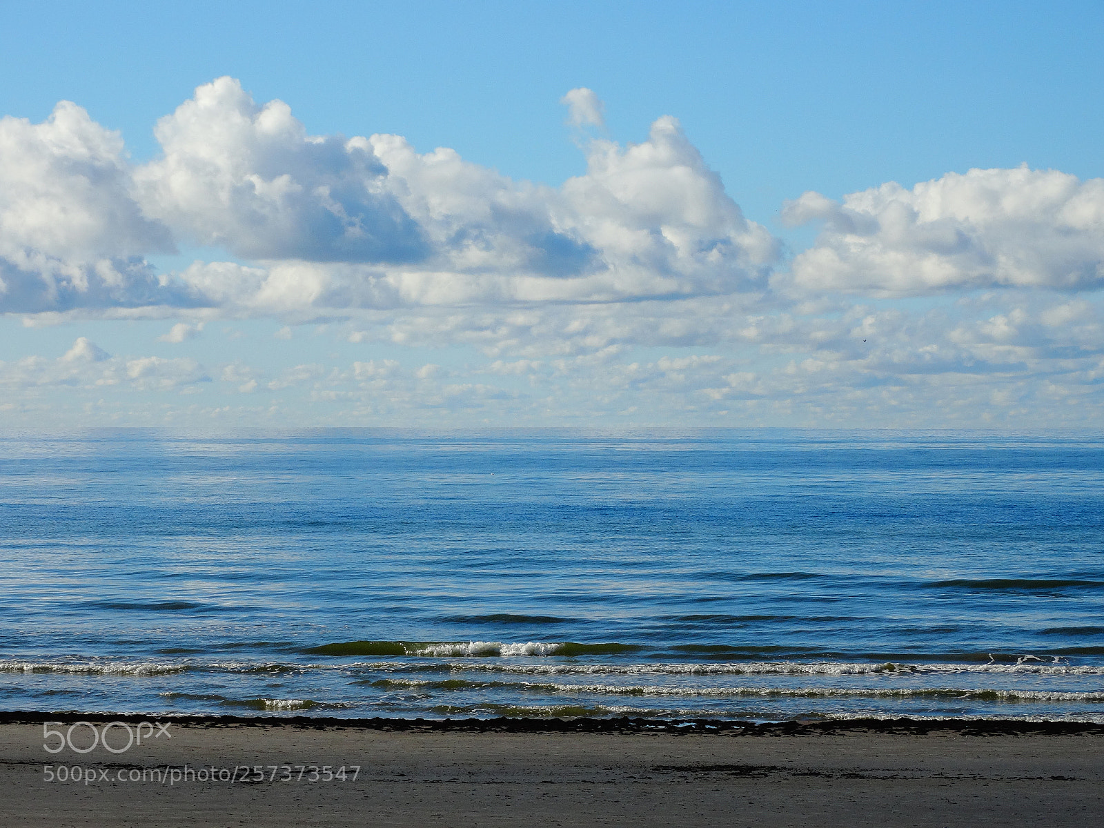 Sony Cyber-shot DSC-HX300 sample photo. Dsc photography