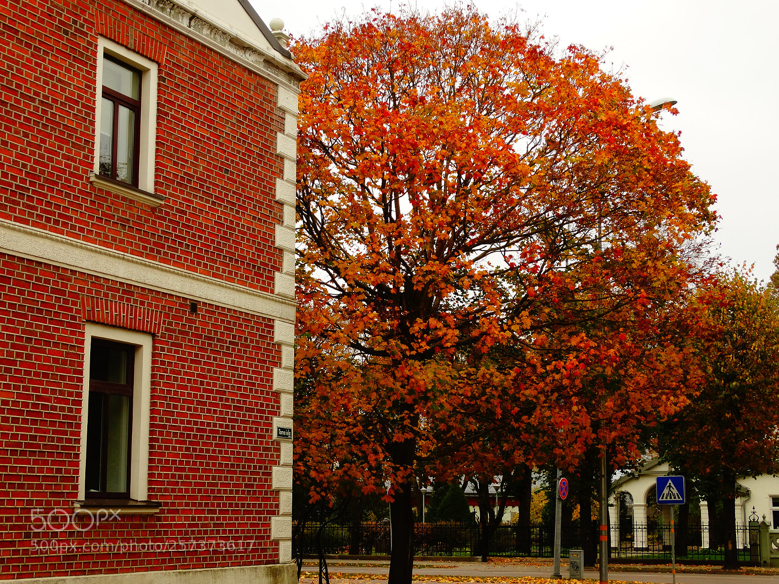 Sony Cyber-shot DSC-HX300 sample photo. Dsc photography