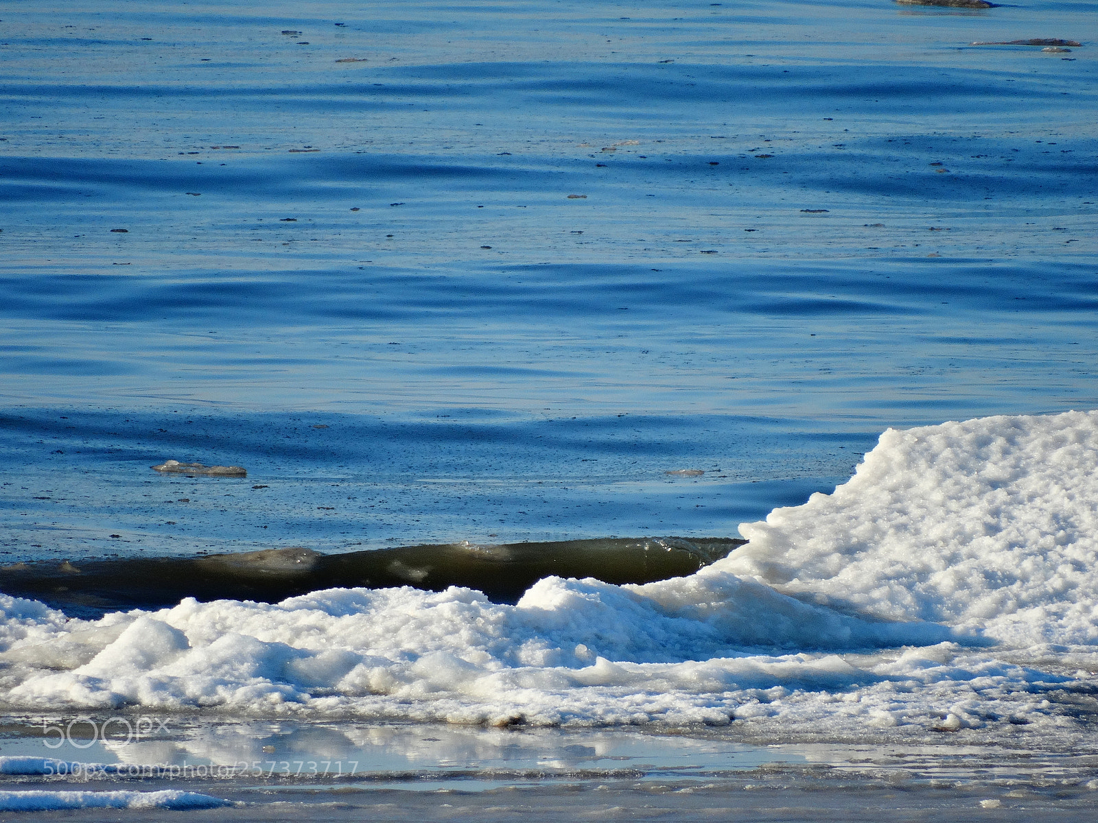 Sony Cyber-shot DSC-HX300 sample photo. Dsc photography