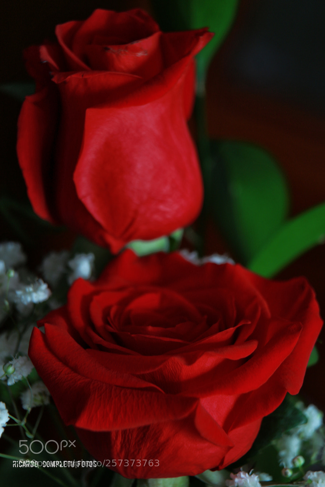 Canon EOS 700D (EOS Rebel T5i / EOS Kiss X7i) sample photo. A img photography