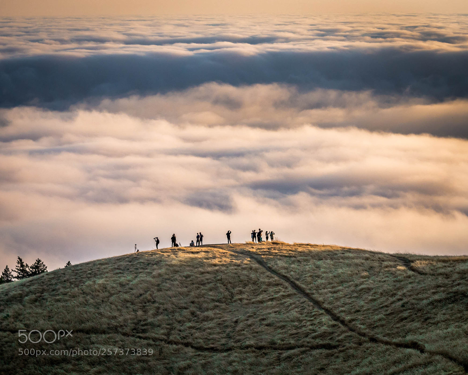 Canon EOS 6D sample photo. "storm of fog" photography