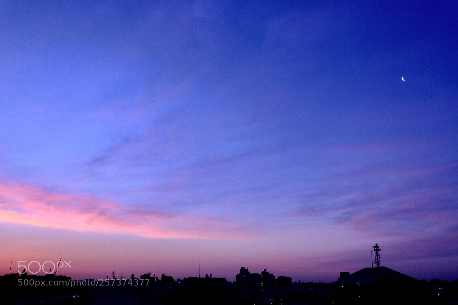 Canon EOS M5 sample photo. The early bird catches photography