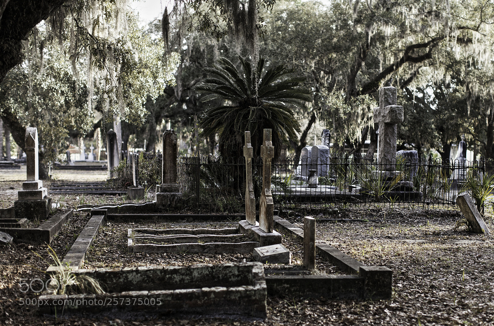 Canon EOS 5D Mark II sample photo. Old cemetery photography