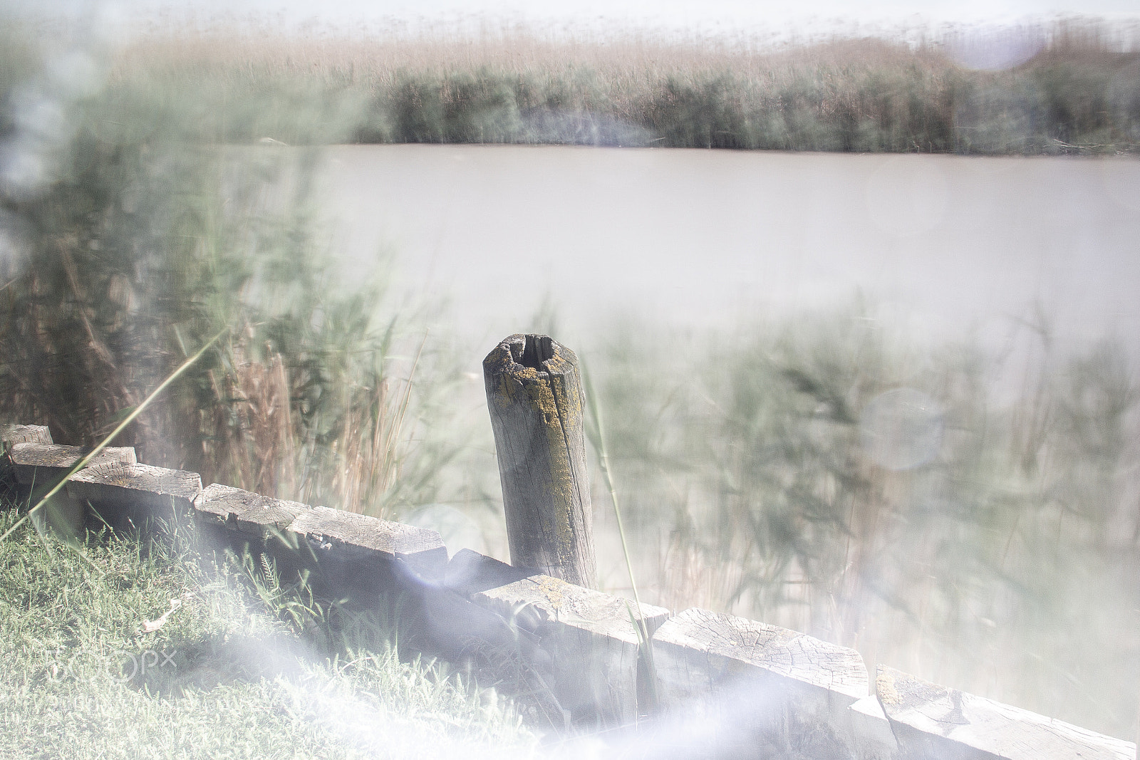 Canon EOS 60D sample photo. Dreaming photography