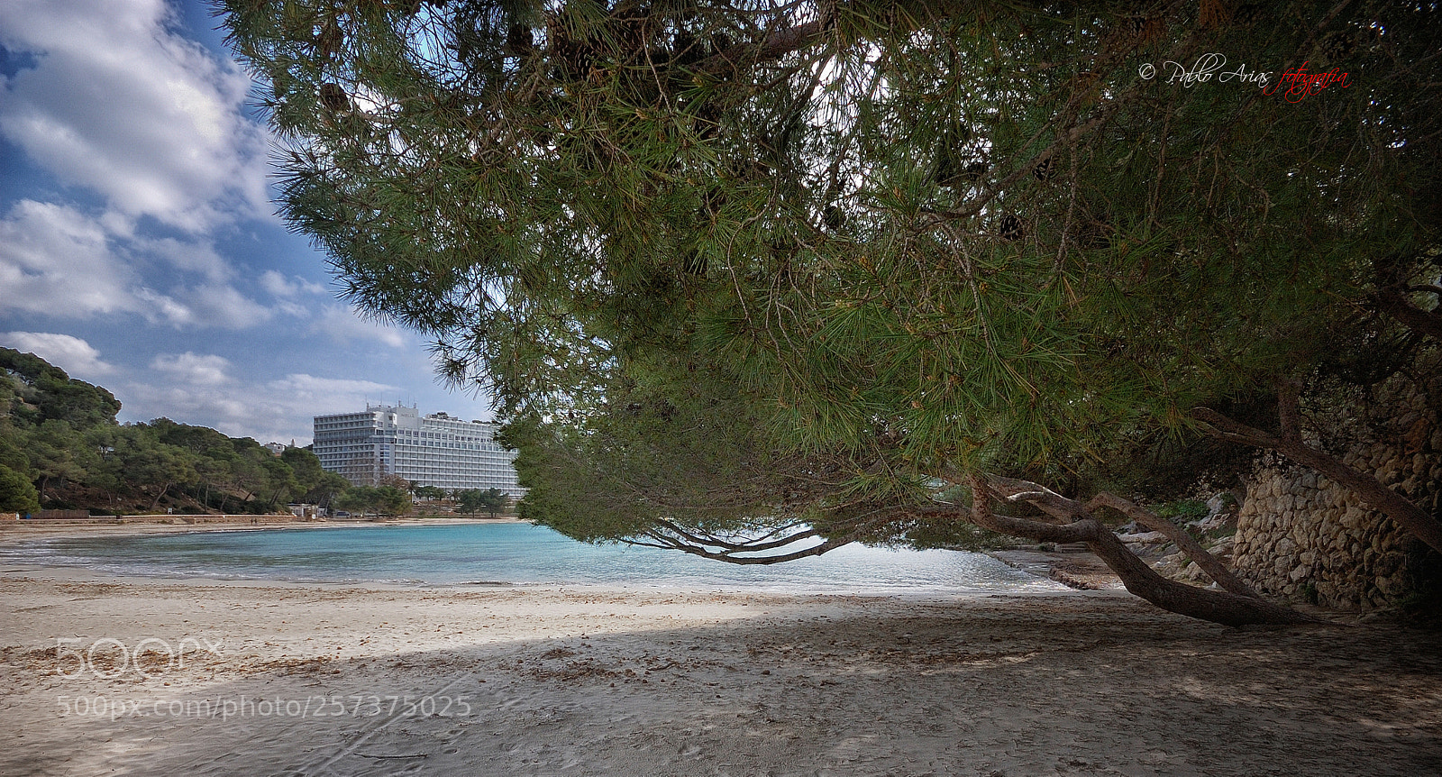Nikon D50 sample photo. Pinos en el mar photography