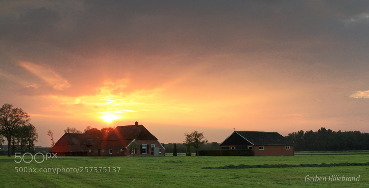 Canon EOS 7D sample photo. On a spring evening photography