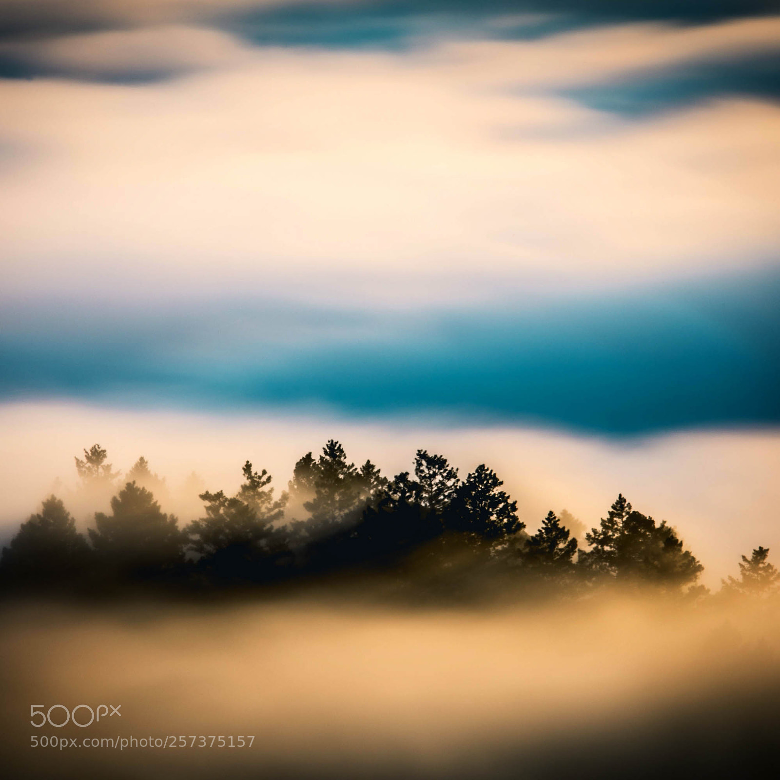 Canon EOS 6D sample photo. "fog trees" photography