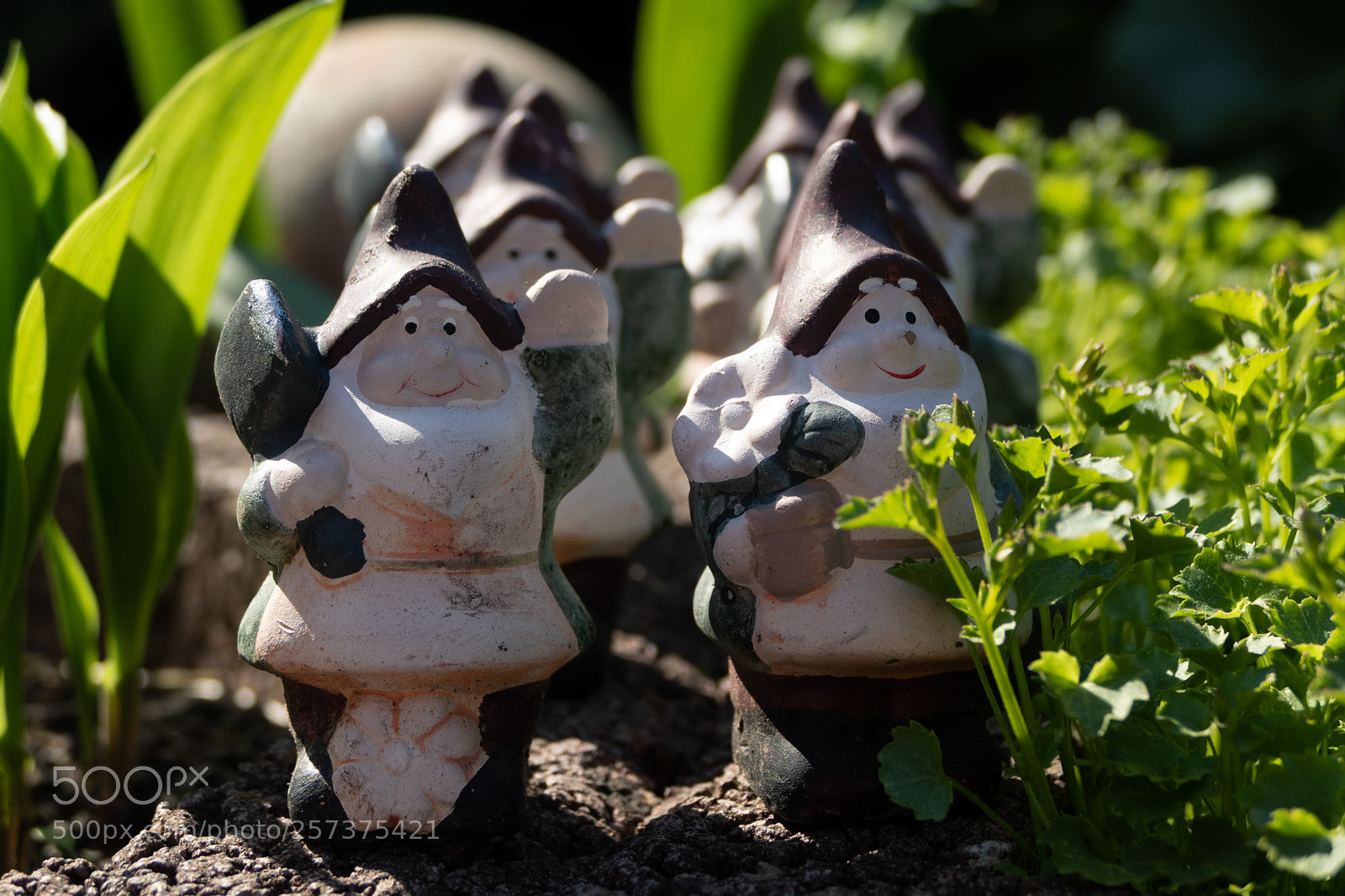 Panasonic Lumix DMC-FZ1000 sample photo. Zwergenarmee photography