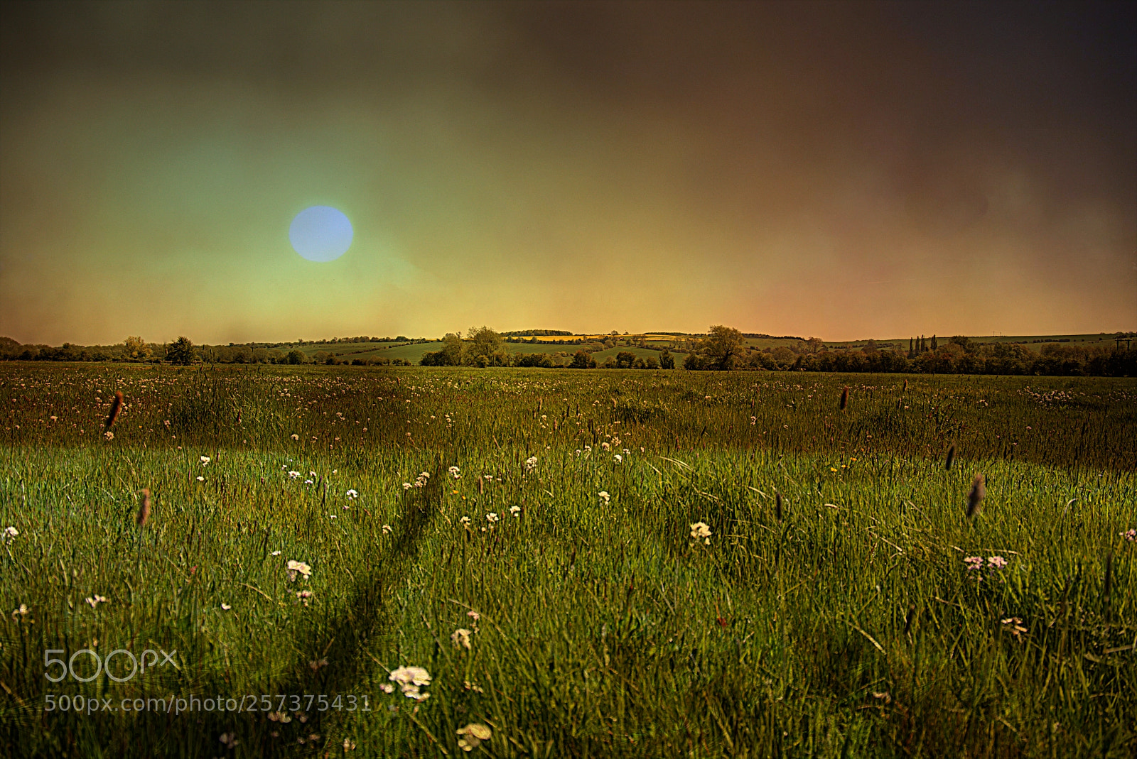 Canon EOS 6D sample photo. Dreamy field photography