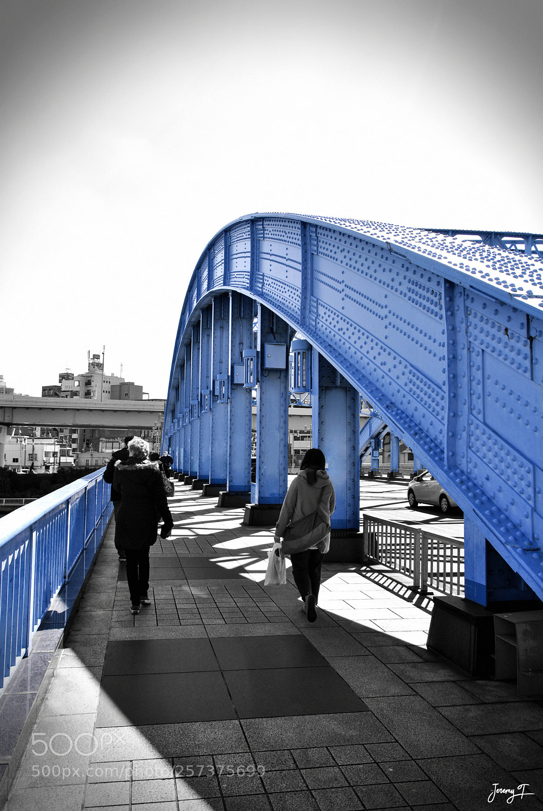 Nikon D3000 sample photo. Tokyo's bridge - japan photography