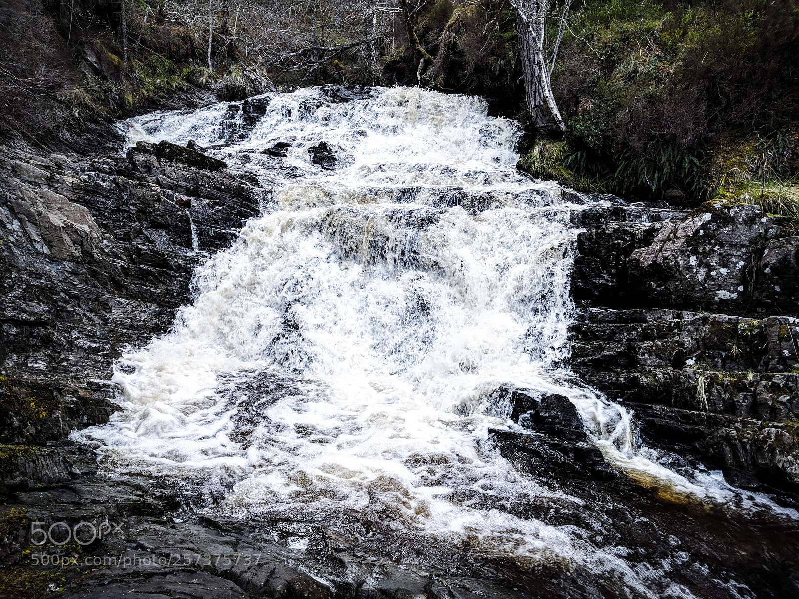 Google Nexus 6P sample photo. Plodda falls - top photography