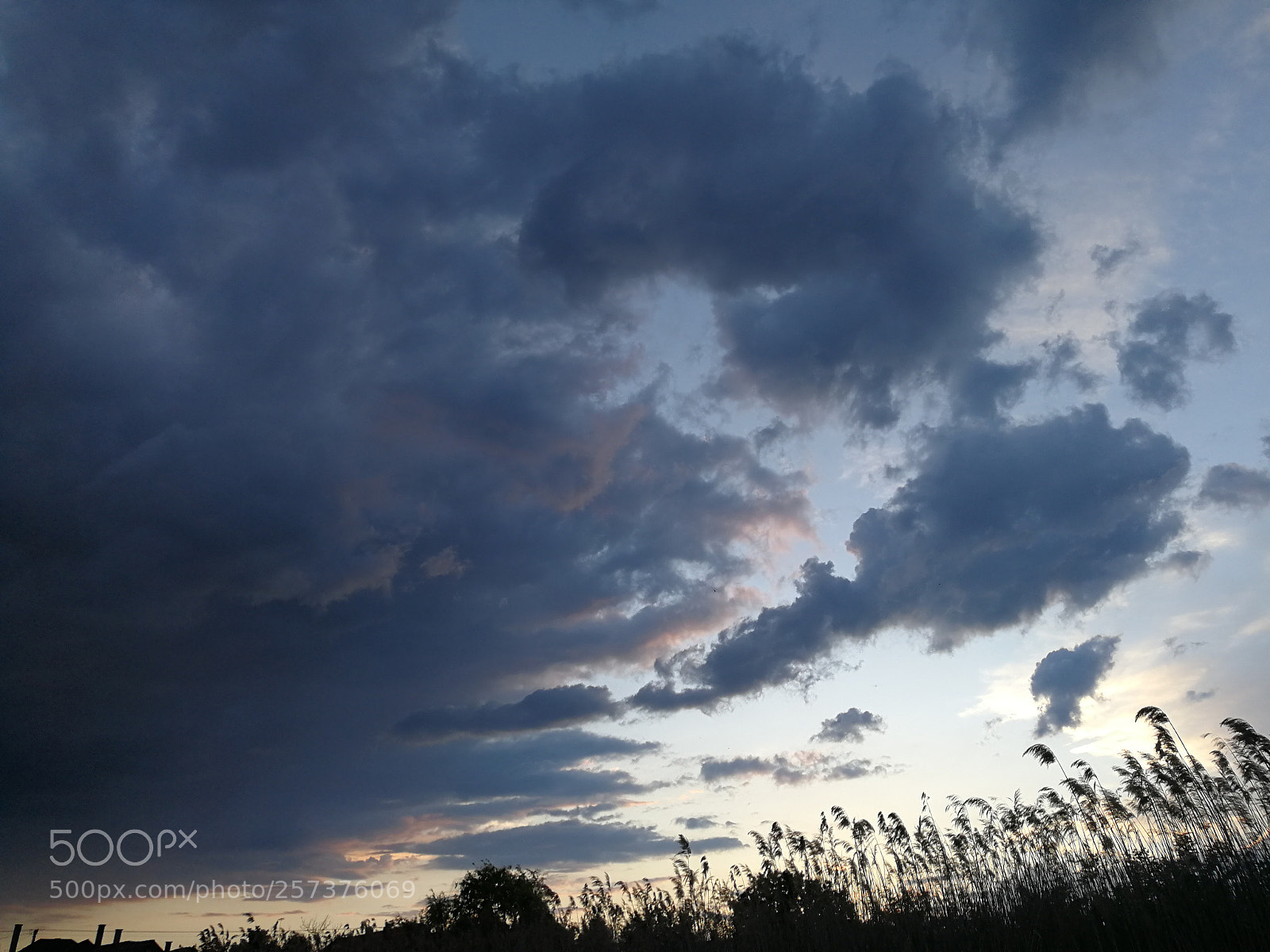 HUAWEI P10 Plus sample photo. Untitled photography